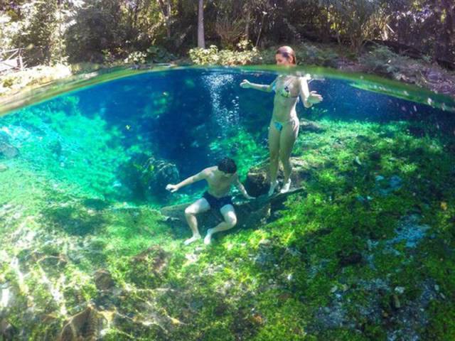 daily picdump 98 pics 6.html - 98 HD Photos | Premium Gallery 2017