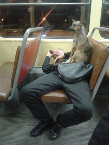 daily picdump 98 pics 6.html - 98 HD Photos | Premium Gallery 2017