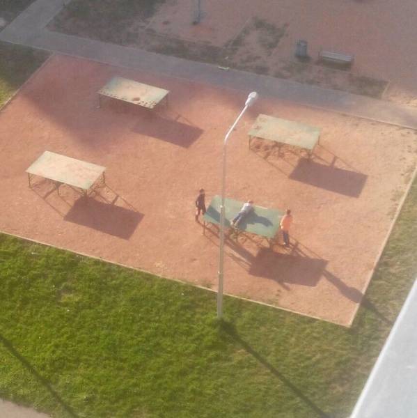 daily picdump 98 pics 6.html - 98 HD Photos | Premium Gallery 2017