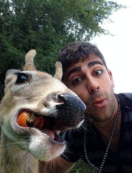 daily picdump 98 pics 6.html - 98 HD Photos | Premium Gallery 2017