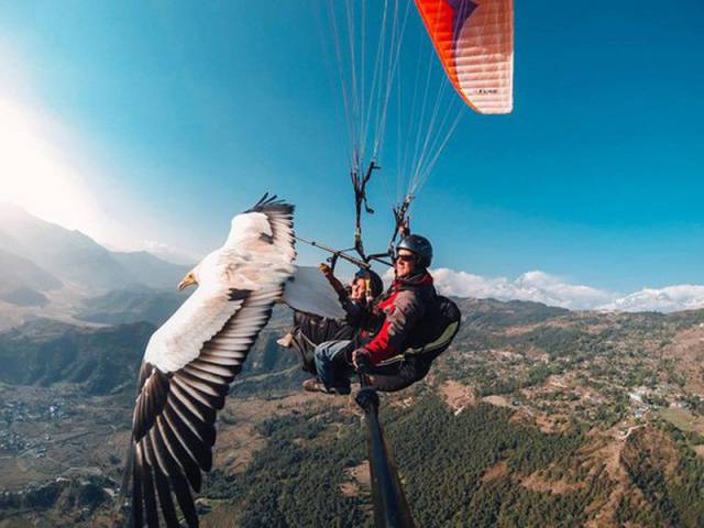 daily picdump 98 pics 6.html - 98 HD Photos | Premium Gallery 2017