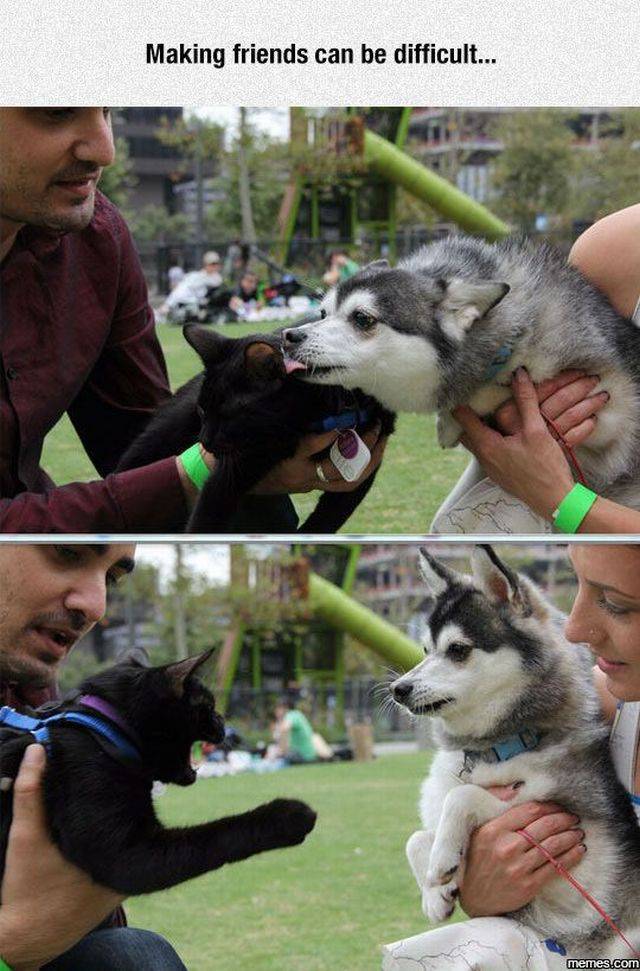 daily picdump 98 pics 6.html - 98 HD Photos | Premium Gallery 2017