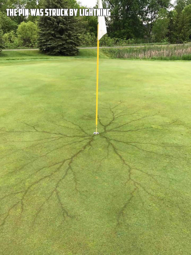 morning picdump 51 pics 7.html - 51 HD Photos | Premium Gallery 2017