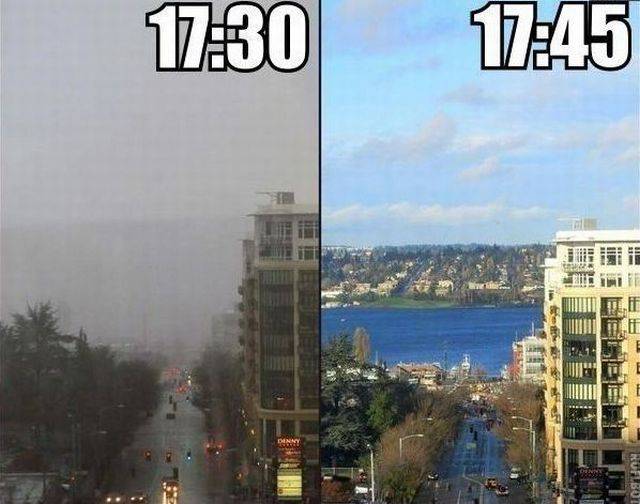 daily picdump 98 pics 4.html - 98 HD Photos | Premium Gallery 2017