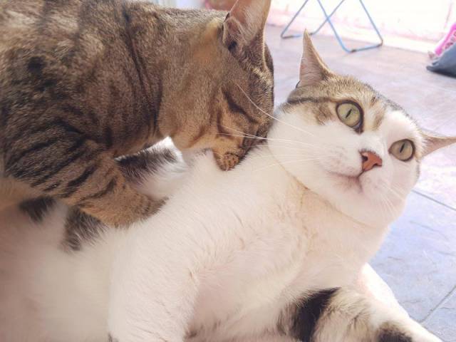 daily picdump 98 pics 4.html - 98 HD Photos | Premium Gallery 2017