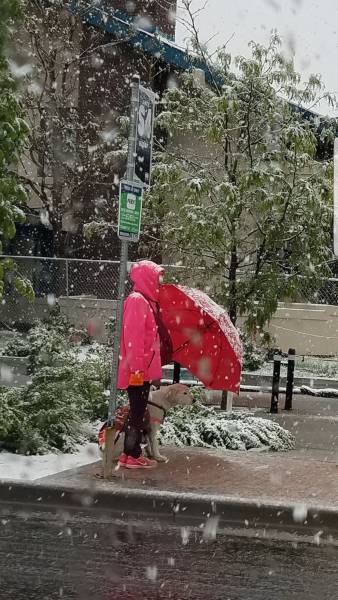 daily picdump 98 pics 4.html - 98 HD Photos | Premium Gallery 2017