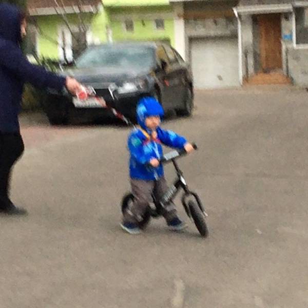 daily picdump 98 pics 4.html - 98 HD Photos | Premium Gallery 2017