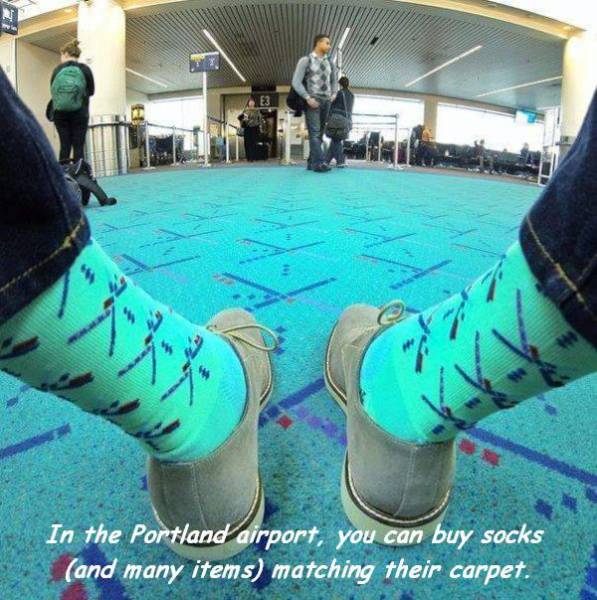 daily picdump 98 pics 4.html - 98 HD Photos | Premium Gallery 2017