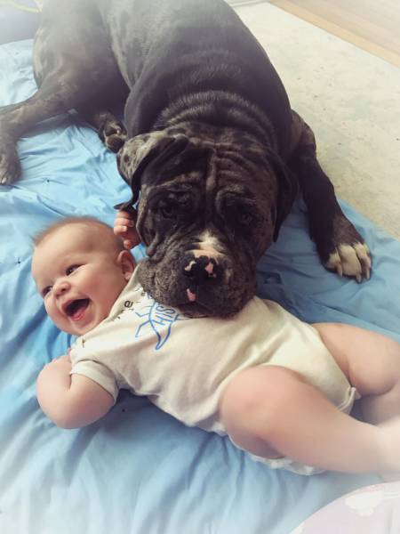 daily picdump 98 pics 4.html - 98 HD Photos | Premium Gallery 2017