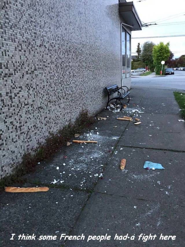 daily picdump 98 pics 4.html - 98 HD Photos | Premium Gallery 2017