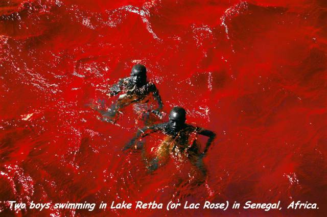 daily picdump 97 pics 38.html - 97 HD Photos | Premium Gallery 2017