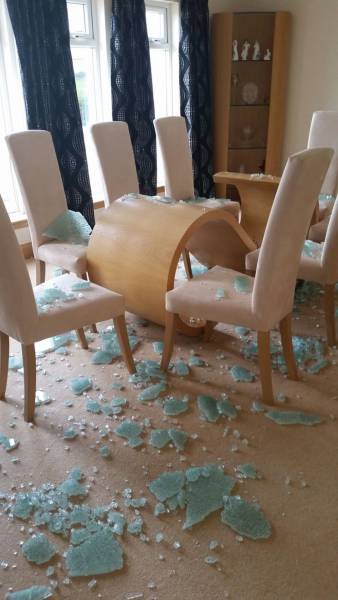 daily picdump 97 pics 38.html - 97 HD Photos | Premium Gallery 2017