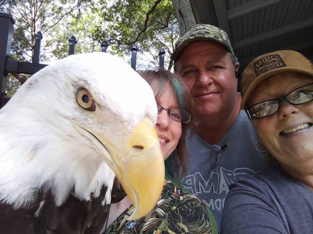 daily picdump 97 pics 38.html - 97 HD Photos | Premium Gallery 2017