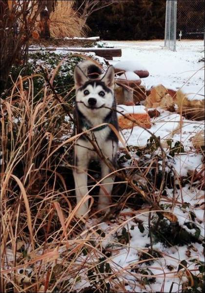 daily picdump 97 pics 38.html - 97 HD Photos | Premium Gallery 2017