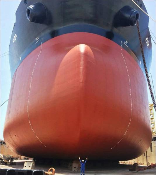 daily picdump 97 pics 38.html - 97 HD Photos | Premium Gallery 2017