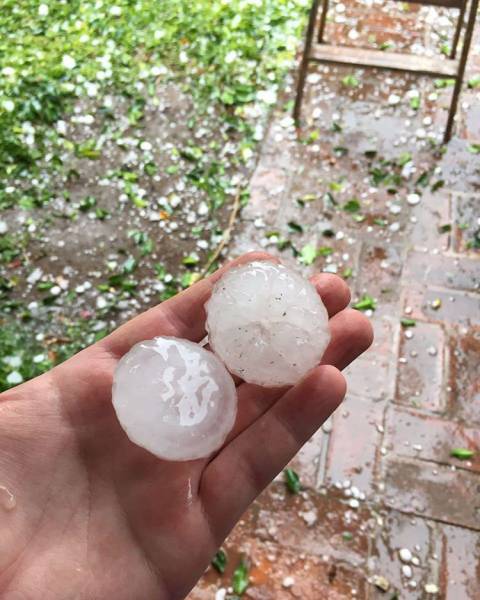 daily picdump 97 pics 38.html - 97 HD Photos | Premium Gallery 2017