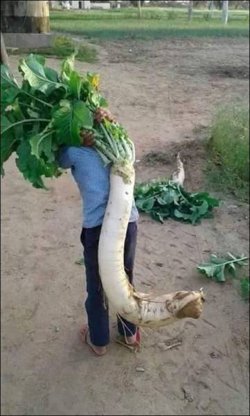 daily picdump 97 pics 38.html - 97 HD Photos | Premium Gallery 2017