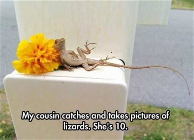 daily picdump 97 pics 38.html - 97 HD Photos | Premium Gallery 2017