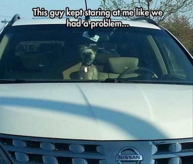 daily picdump 97 pics 38.html - 97 HD Photos | Premium Gallery 2017