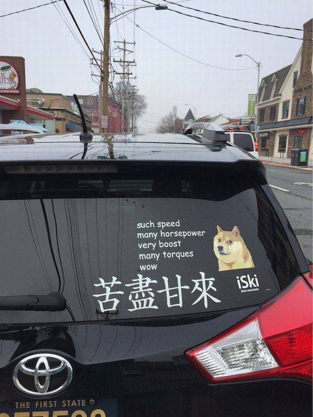 daily picdump 97 pics 38.html - 97 HD Photos | Premium Gallery 2017