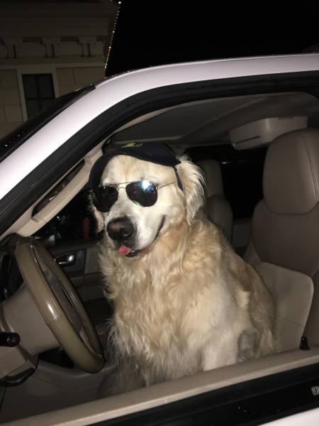 Daily Picdump [WEEKEND EDITION]