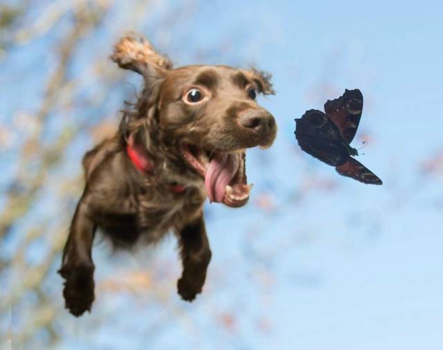 Daily Picdump [WEEKEND EDITION]