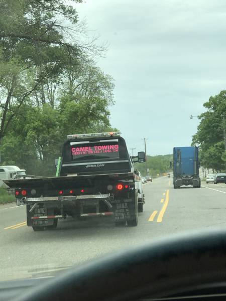 daily picdump weekend edition 59 pics 2.html - 59 HD Photos | Premium Gallery 2017