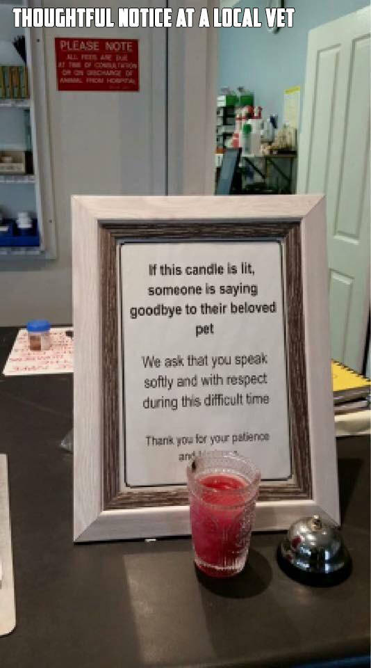 Daily Picdump [WEEKEND EDITION]