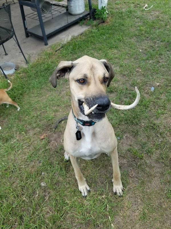 daily picdump weekend edition 59 pics 2.html - 59 HD Photos | Premium Gallery 2017