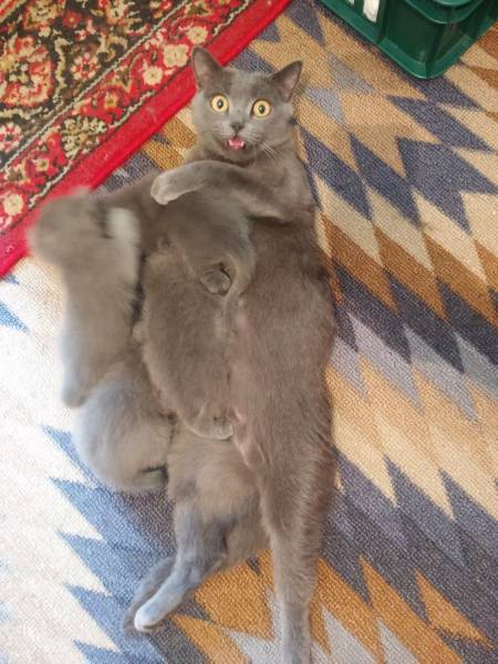 daily picdump 101 pics 25.html - 101 HD Photos | Premium Gallery 2017