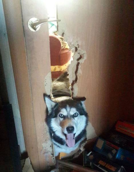 daily picdump 101 pics 25.html - 101 HD Photos | Premium Gallery 2017