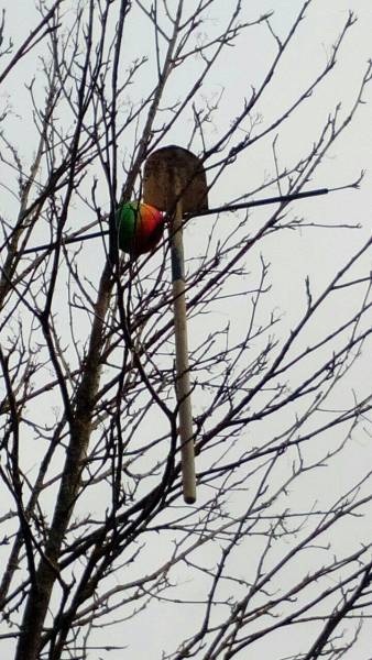 daily picdump 101 pics 25.html - 101 HD Photos | Premium Gallery 2017