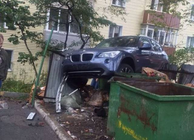 daily picdump 101 pics 25.html - 101 HD Photos | Premium Gallery 2017