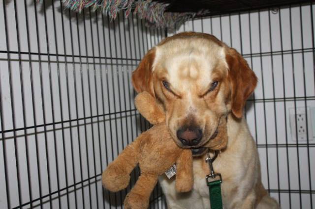 daily picdump 101 pics 25.html - 101 HD Photos | Premium Gallery 2017