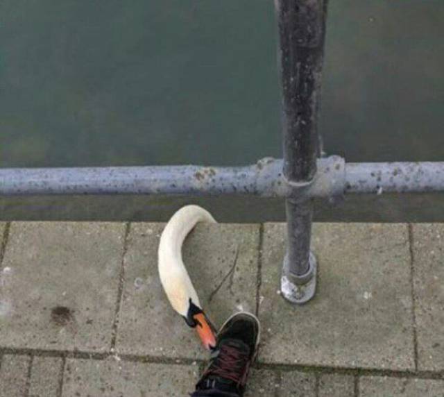 daily picdump 101 pics 25.html - 101 HD Photos | Premium Gallery 2017