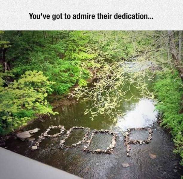 daily picdump 94 pics 16.html - 94 HD Photos | Premium Gallery 2017