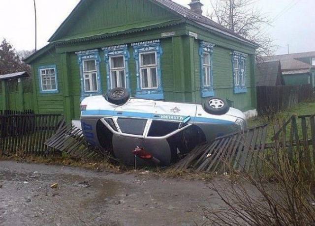 daily picdump 94 pics 16.html - 94 HD Photos | Premium Gallery 2017