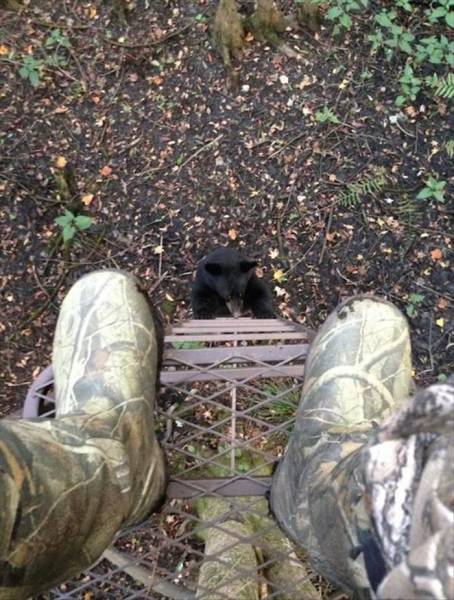 daily picdump 94 pics 16.html - 94 HD Photos | Premium Gallery 2017