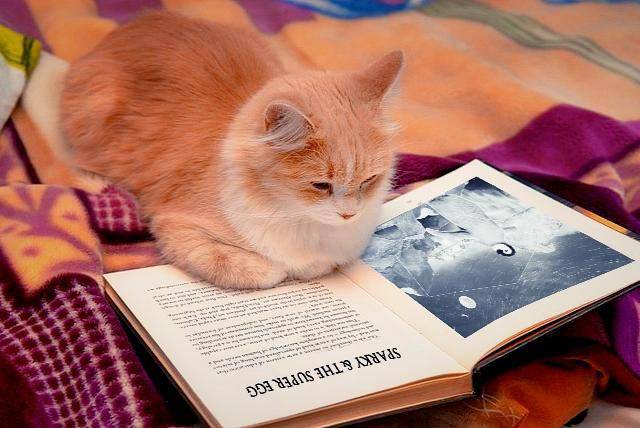 daily picdump 94 pics 16.html - 94 HD Photos | Premium Gallery 2017