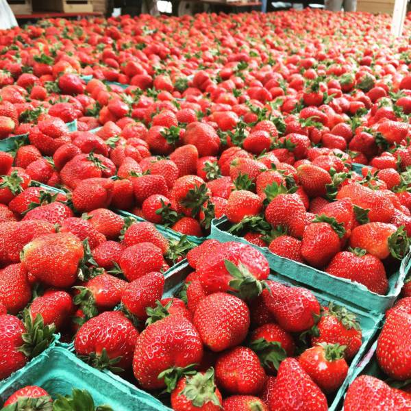 daily picdump 94 pics 16.html - 94 HD Photos | Premium Gallery 2017