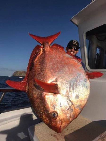 daily picdump 94 pics 16.html - 94 HD Photos | Premium Gallery 2017