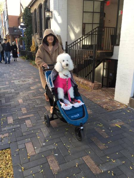 daily picdump 94 pics 16.html - 94 HD Photos | Premium Gallery 2017