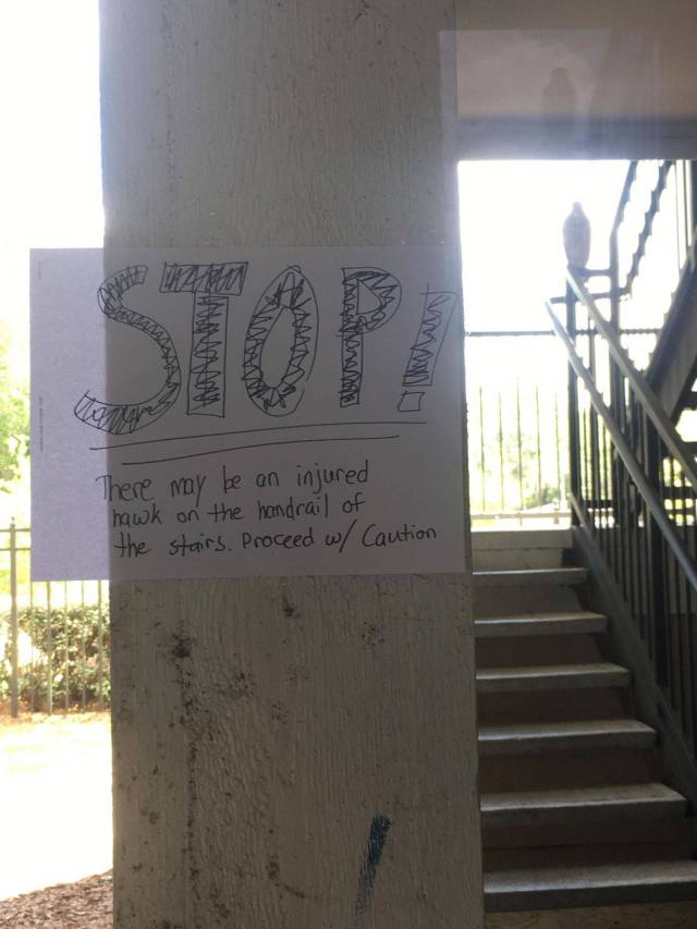 daily picdump 94 pics 16.html - 94 HD Photos | Premium Gallery 2017