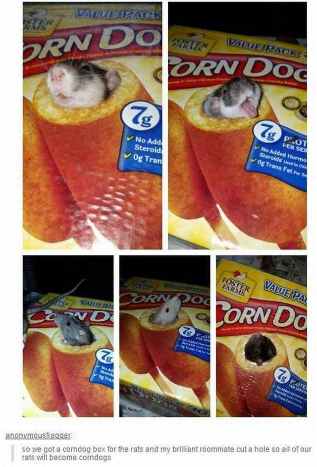 daily picdump 94 pics 16.html - 94 HD Photos | Premium Gallery 2017