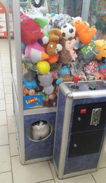 daily picdump 95 pics 5.html - 95 HD Photos | Premium Gallery 2017