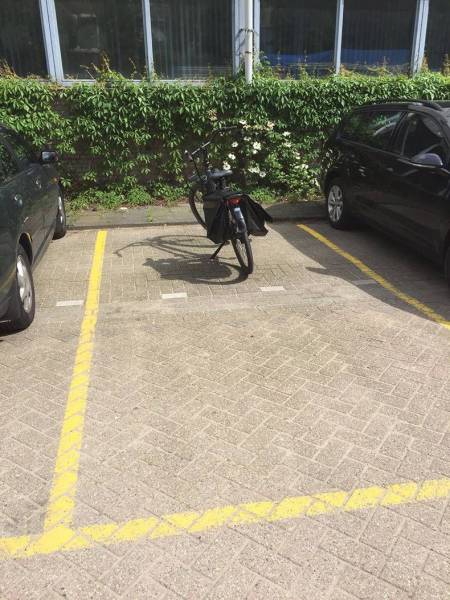 daily picdump 95 pics 5.html - 95 HD Photos | Premium Gallery 2017