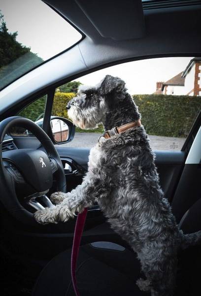 daily picdump 95 pics 5.html - 95 HD Photos | Premium Gallery 2017