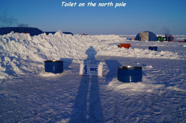 daily picdump 95 pics 5.html - 95 HD Photos | Premium Gallery 2017