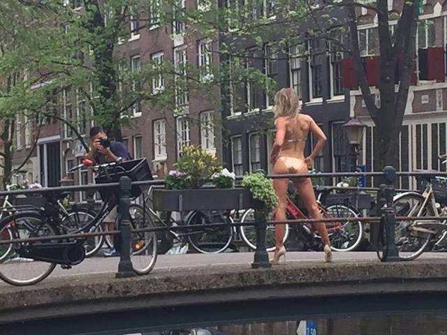 daily picdump 95 pics 5.html - 95 HD Photos | Premium Gallery 2017