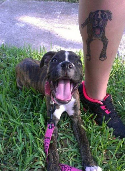 daily picdump 95 pics 5.html - 95 HD Photos | Premium Gallery 2017